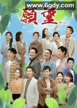 愿望(2024)完结已完结迅雷网盘全集下载