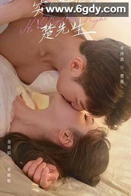 突然降临的楚先生(2023)完结24集全迅雷网盘全集下载