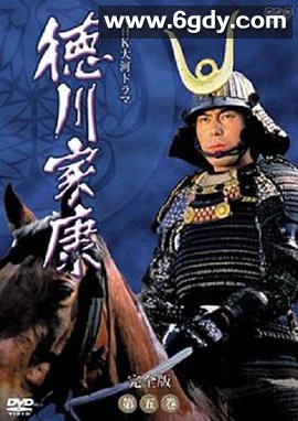 德川家康(1983)完结已完结迅雷网盘全集下载