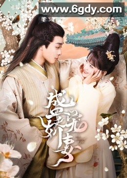 盛宠娇妻(2023)完结28集全迅雷网盘全集下载