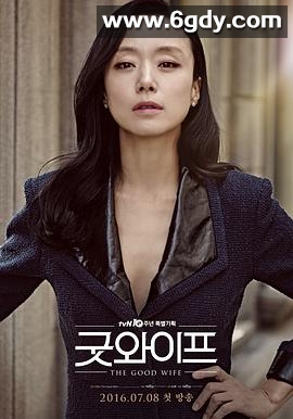 傲骨贤妻2016(2016)完结已完结迅雷网盘全集下载