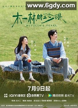 木一林的珍珠(2025)完结已完结迅雷网盘全集下载
