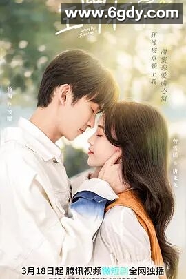 王牌校草(2022)完结已完结迅雷网盘全集下载