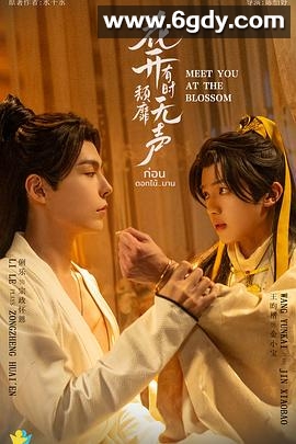 花开有时颓靡无声(2024)完结12集全迅雷网盘全集下载