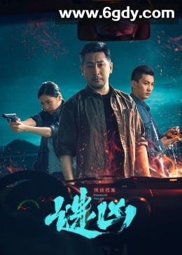 刑侦档案·谜凶(2022)完结已完结迅雷网盘全集下载