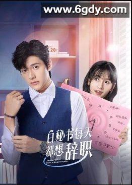 白秘书每天都想辞职(2022)完结已完结迅雷网盘全集下载