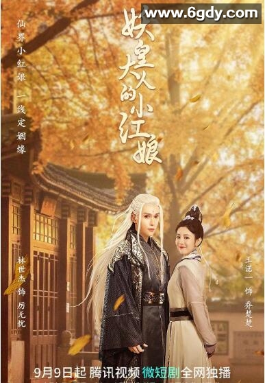 妖皇大人的小红娘(2022)完结已完结迅雷网盘全集下载