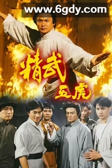 精武五虎(1993)完结全20集迅雷网盘全集下载