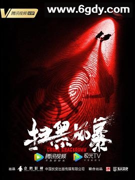 扫黑风暴(2021)完结28集全迅雷网盘全集下载