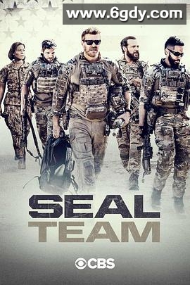 海豹突击队 第四季(2020)完结16集全迅雷网盘全集下载