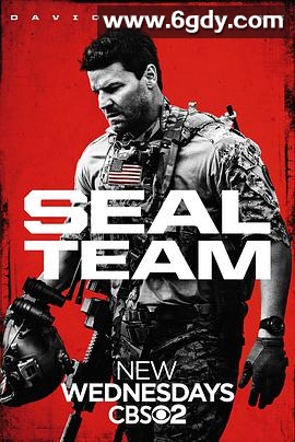 海豹突击队 第一季(2017)完结22集全迅雷网盘全集下载
