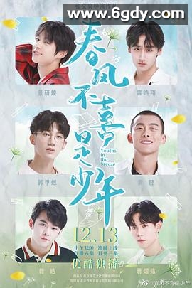 春风不喜是少年(2020)完结已完结迅雷网盘全集下载