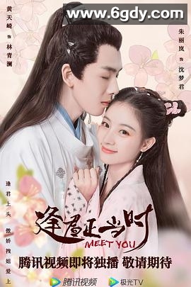 逢君正当时(2021)完结12集全迅雷网盘全集下载