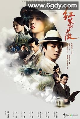 红蔷薇(2017)完结48集全迅雷网盘全集下载