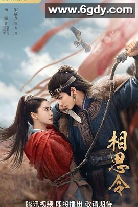 相思令(2025)完结30集全迅雷网盘全集下载
