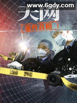 天网：案件真相(2025)完结已完结迅雷网盘全集下载