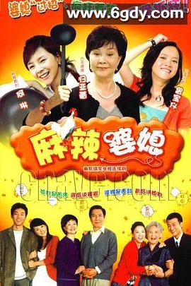 麻辣婆媳(2006)完结已完结迅雷网盘全集下载