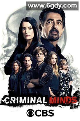 犯罪心理 第十二季(2016)完结22集全迅雷网盘全集下载