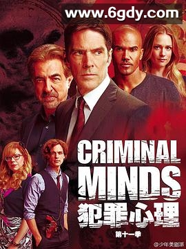 犯罪心理 第十一季(2015)完结22集全迅雷网盘全集下载