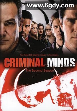 犯罪心理 第二季(2006)完结23集全迅雷网盘全集下载