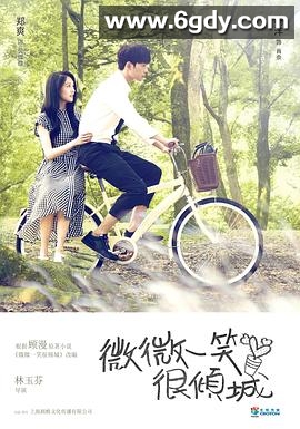 微微一笑很倾城(2016)完结全30集迅雷网盘全集下载
