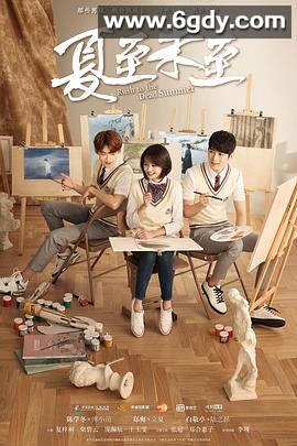 夏至未至(2017)完结48集全迅雷网盘全集下载