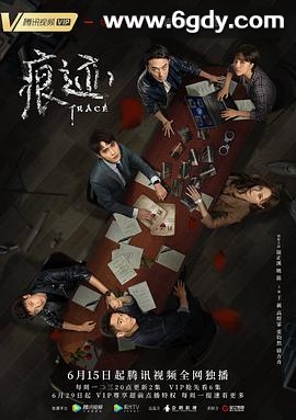 痕迹(2020)完结36集全迅雷网盘全集下载