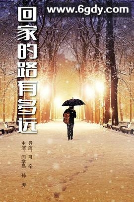 回家的路有多远(2017)完结45集全迅雷网盘全集下载