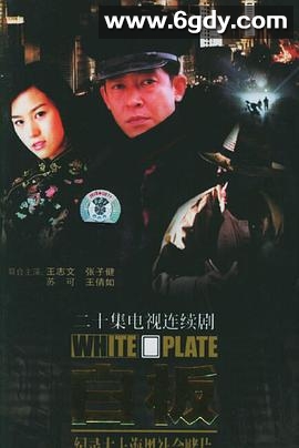 白板(1998)完结已完结迅雷网盘全集下载