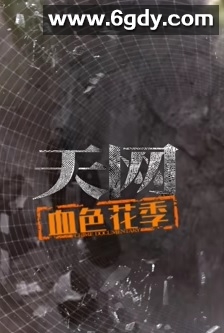 天网：血色花季(2025)完结已完结迅雷网盘全集下载