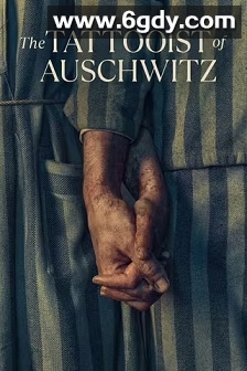 奥斯威辛的刺青师(2024)完结6集全迅雷网盘全集下载