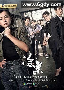 冷案(2019)完结30集全迅雷网盘全集下载