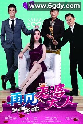 再见，老婆大人(2016)完结已完结迅雷网盘全集下载