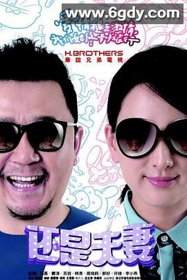 还是夫妻(2016)完结已完结迅雷网盘全集下载