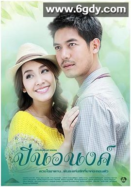 偷心俏冤家(2012)完结已完结迅雷网盘全集下载