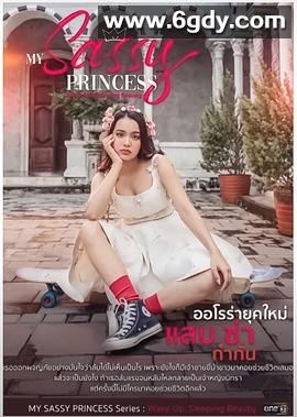 我的时髦公主之睡美人篇(2022)完结更新至02集迅雷网盘全集下载