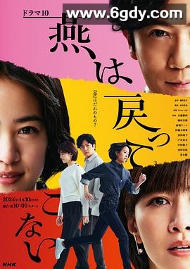 燕子不再归来(2024)完结全10集迅雷网盘全集下载