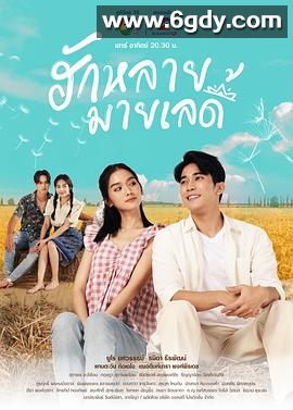 亲爱的女士(2023)完结全17集迅雷网盘全集下载