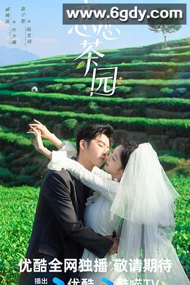 恋恋茶园(2024)完结已完结迅雷网盘全集下载