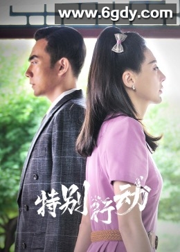 特别行动(2024)完结32集全迅雷网盘全集下载
