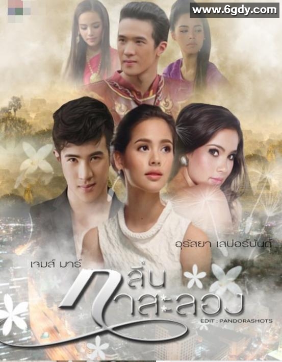 戛萨珑花香(2019)完结更新第15集迅雷网盘全集下载