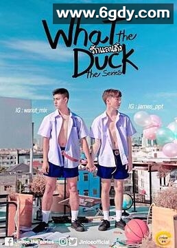 爱的着陆 第二季(2019)完结更新第08集迅雷网盘全集下载