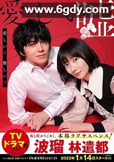 可爱的谎言～温柔的黑暗～(2022)完结8集全迅雷网盘全集下载