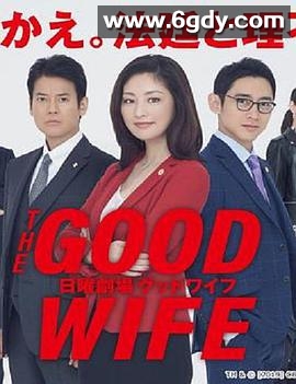 傲骨贤妻(2019)完结全10集迅雷网盘全集下载