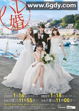 后宫婚(2022)完结9集全迅雷网盘全集下载