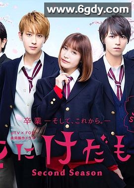 花予野兽 第二季(2019)完结已完结迅雷网盘全集下载