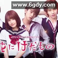 花予野兽 第一季(2017)完结更新第10集迅雷网盘全集下载