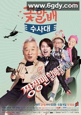 花样爷爷搜查队(2014)完结全12集迅雷网盘全集下载