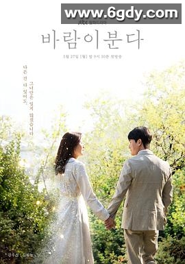 风在吹(2019)完结16集全迅雷网盘全集下载