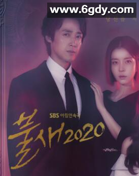 火鸟2020(2020)完结已完结迅雷网盘全集下载